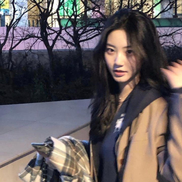 理性和感性